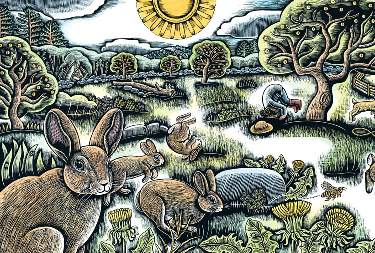 Rabbits