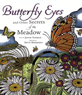 Butterfly Eyes