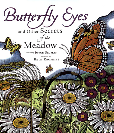 Butterfly Eyes and Other Secrets of the Meadow