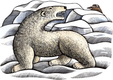 the-lamp-polar-bear.jpg