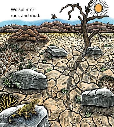 from We Are Branches
